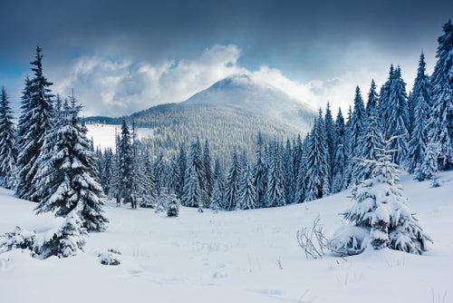 Crisp Mountain Air